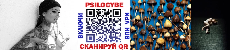 Галлюциногенные грибы прущие грибы  купить наркоту  Звенигово 